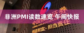 非洲PMI读数速览 午间快报